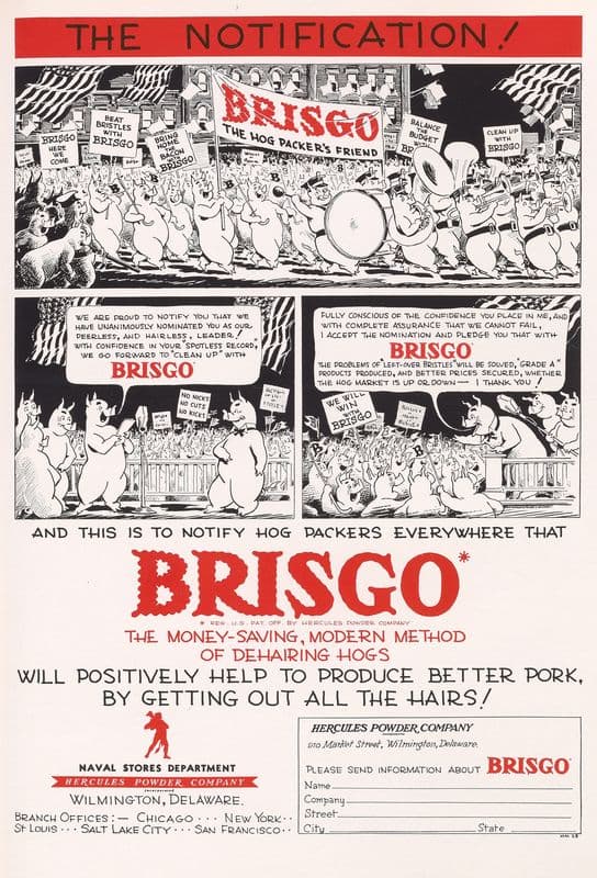Brisgo: The Notification! as a canvas print