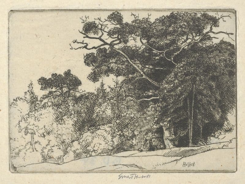 Brown’s Oak (probably 1910) as a canvas print