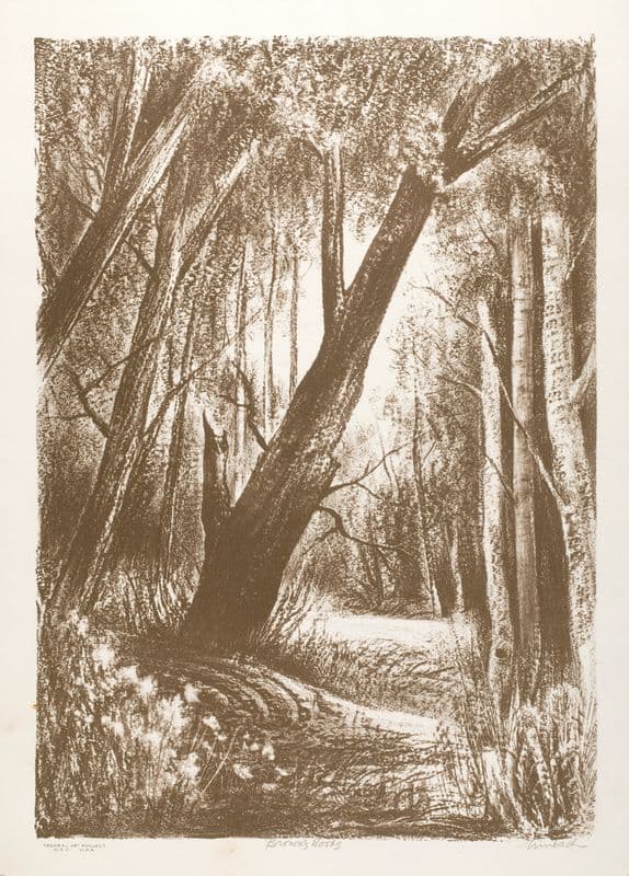 Brown’s Woods (1935-1943) as a canvas print