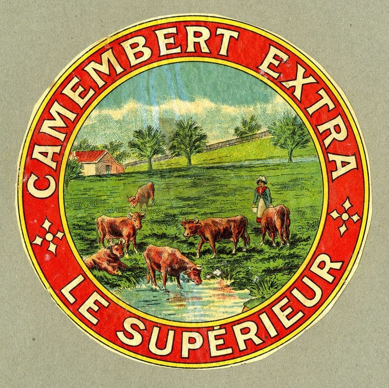 Camembert extra le supérieur as a canvas print