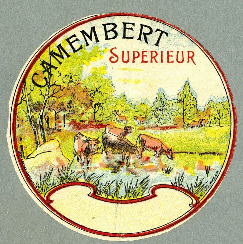 Camembert supérieur as a canvas print