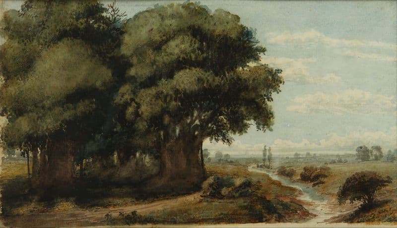 Caprocho (Olivos 13 Nov. 1858) (between 1840 and 1870) as a canvas print