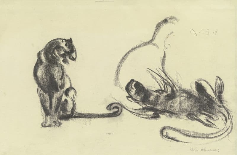 Cats as a canvas print