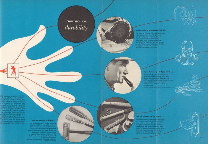 Cellulosics for Durability as a canvas print
