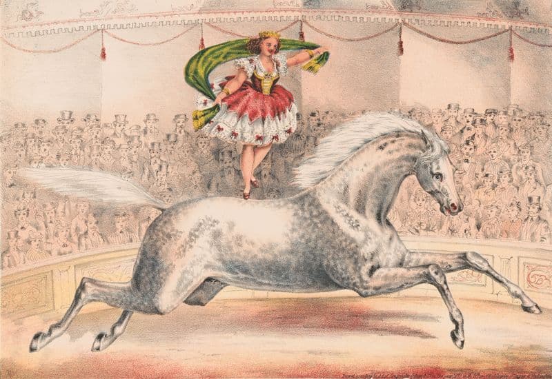 Circus performer standing on the back of a horse as a canvas print