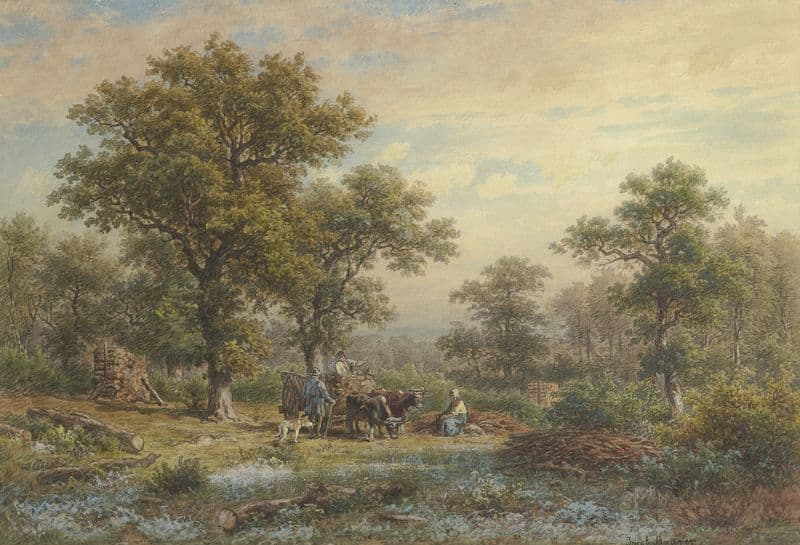 Clearing in the oak forest as a canvas print