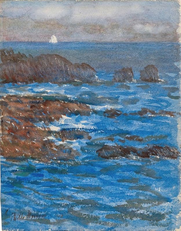 Cliffs and Sea, Appeldore as a canvas print