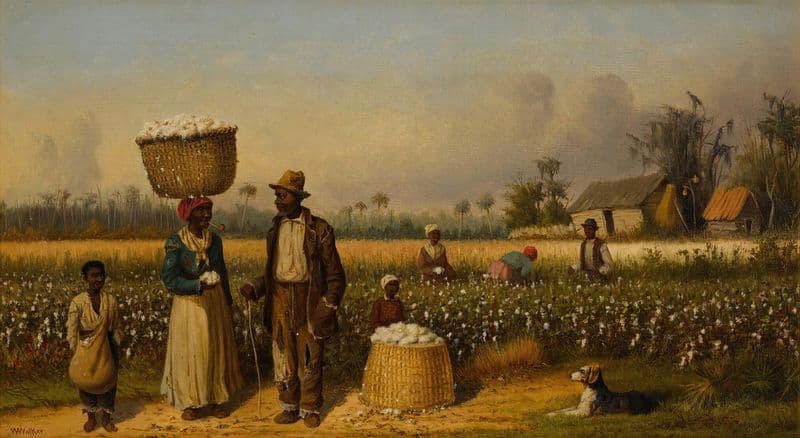 Cotton Pickers as a canvas print