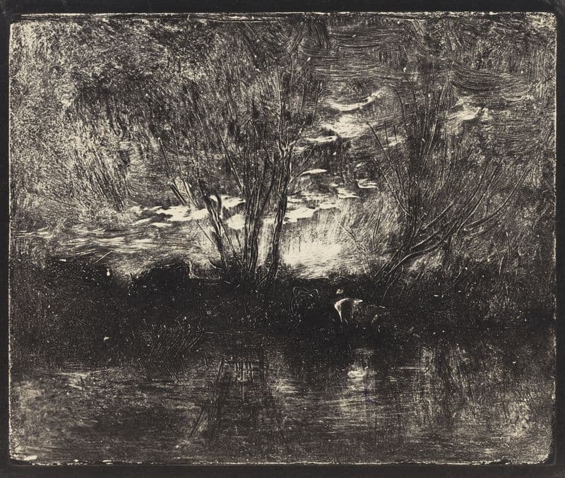 Cows at a Watering-Place as a canvas print