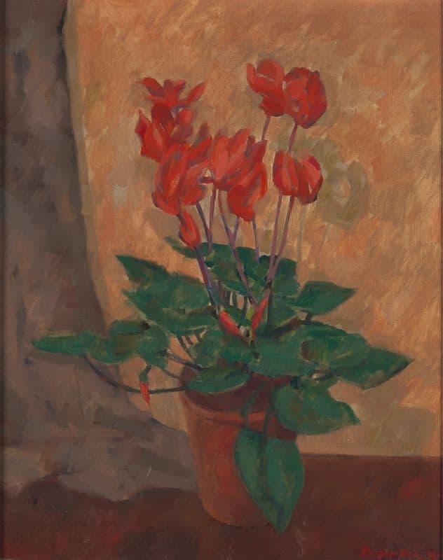 Cyclamen as a canvas print