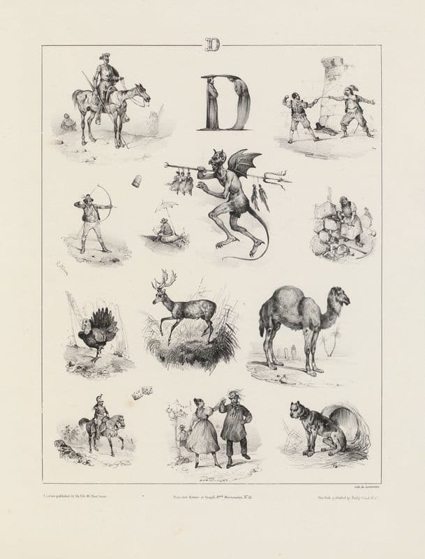 D as a canvas print