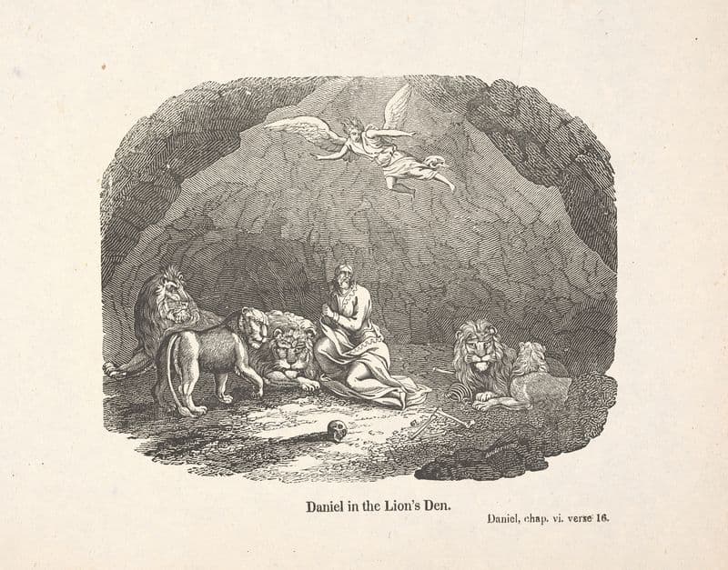 Daniel in the lion’s den as a canvas print