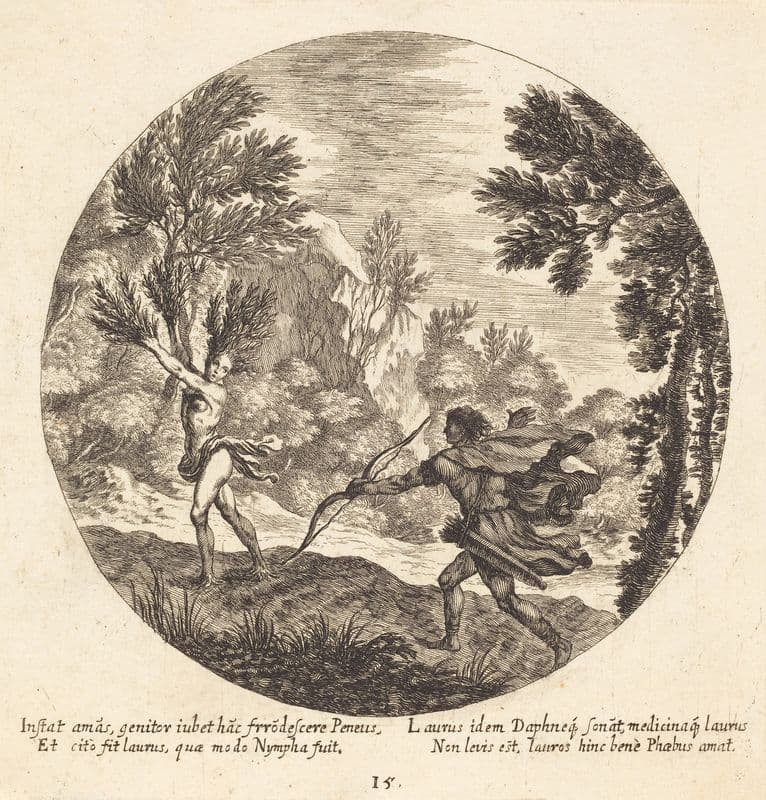 Daphne Turning to a Laurel as a canvas print