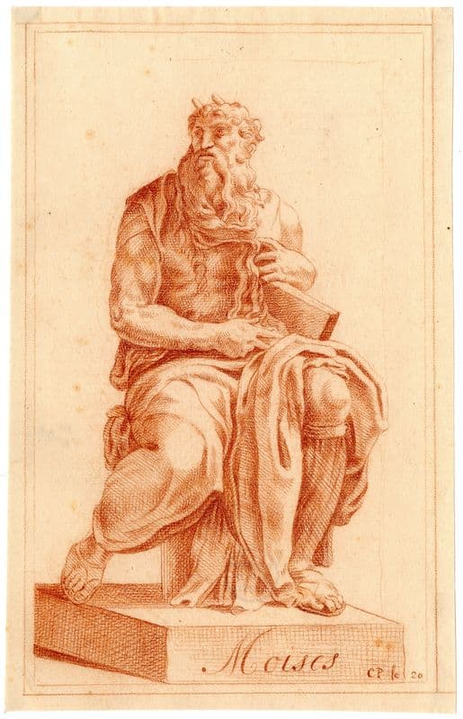 De Mozes van Michelangelo as a canvas print