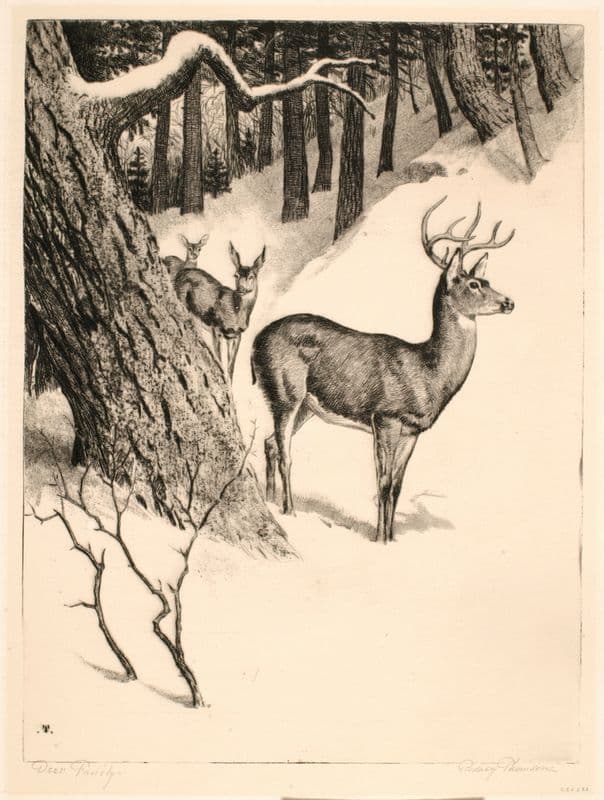 Deer Family (ca. 1935) as a canvas print