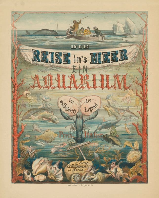 Die Reise in’s Meer. Ein Aquarium as a canvas print