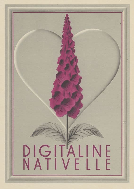 Digitaline Nativelle (1910-1950) as a canvas print