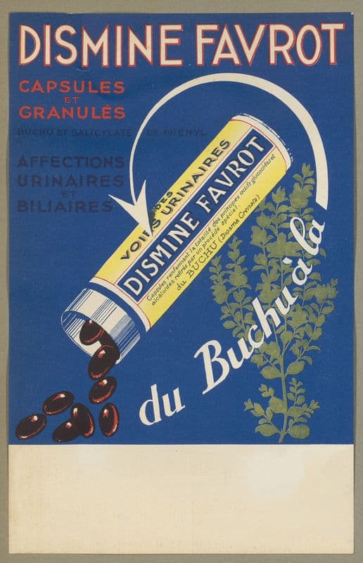 Dismine Favrot (1910-1950) as a canvas print
