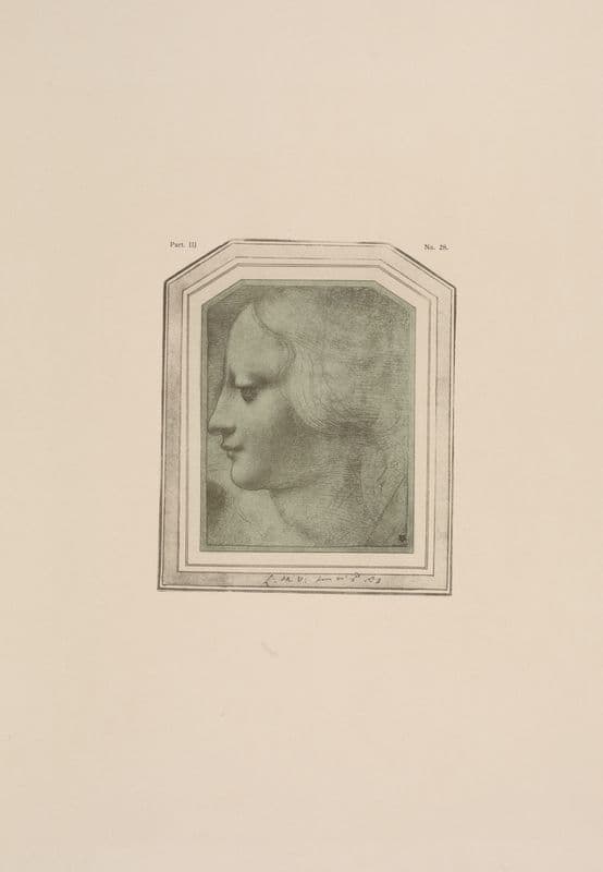 Drawing of female head in profile as a canvas print