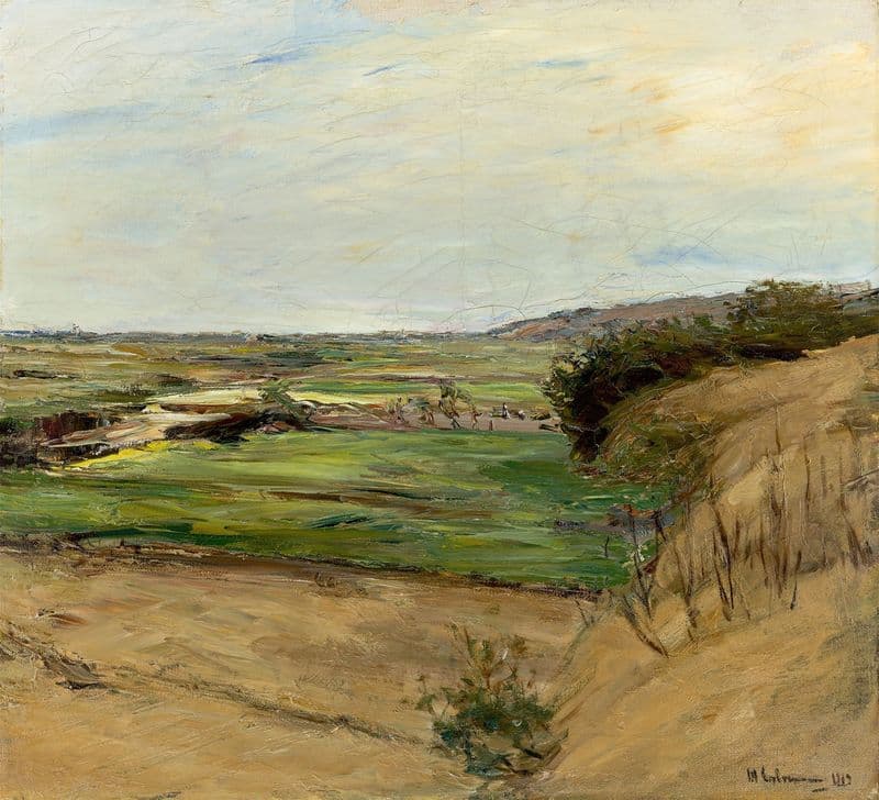 Dünenlandschaft as a canvas print