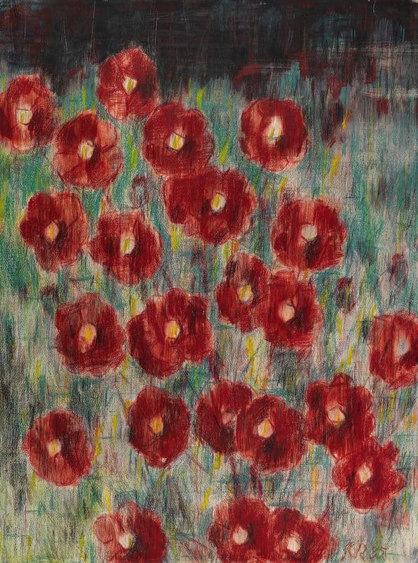 Dunkle Cosmeen as a canvas print