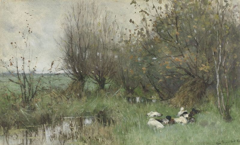 Eenden bij een wilgenbosje as a canvas print