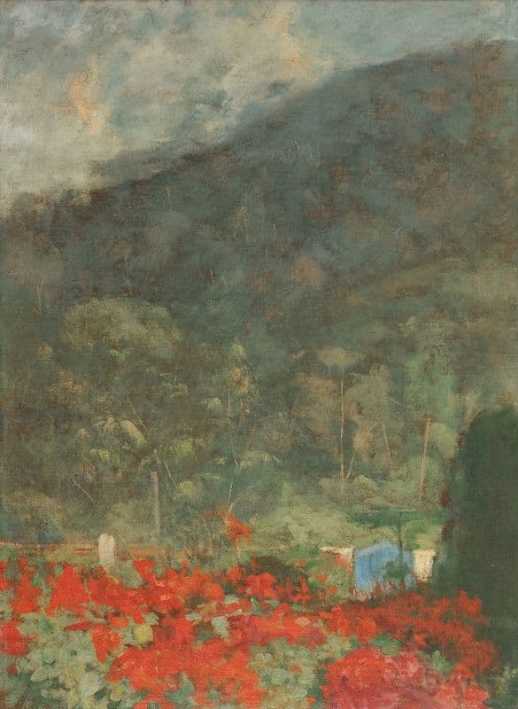 Efeito matinal as a canvas print