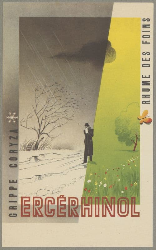 Ercérhinol as a canvas print