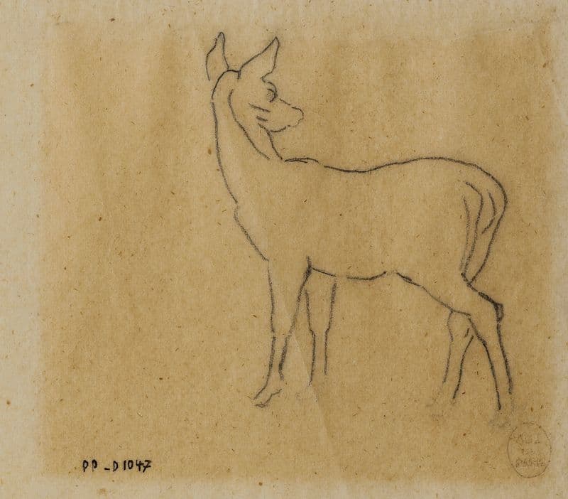 Etude de gazelle (19th century) as a canvas print