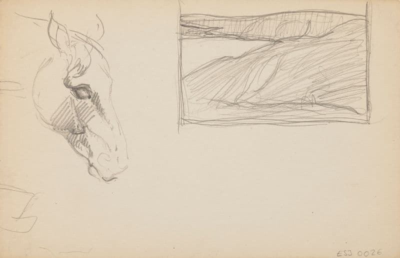 Études d’animaux, de paysages et de modèles as a canvas print