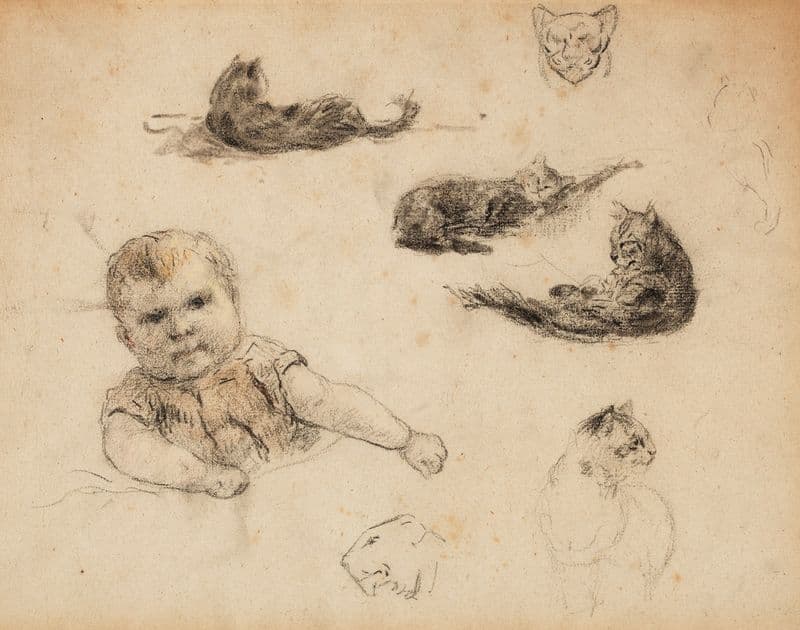 Etudes de chats et d’enfant as a canvas print