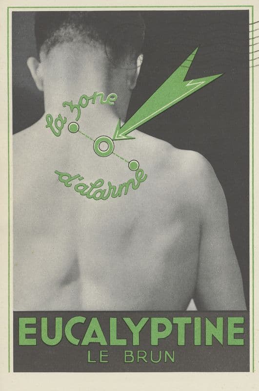 Eucalyptine Le Brun (1910-1950) as a canvas print