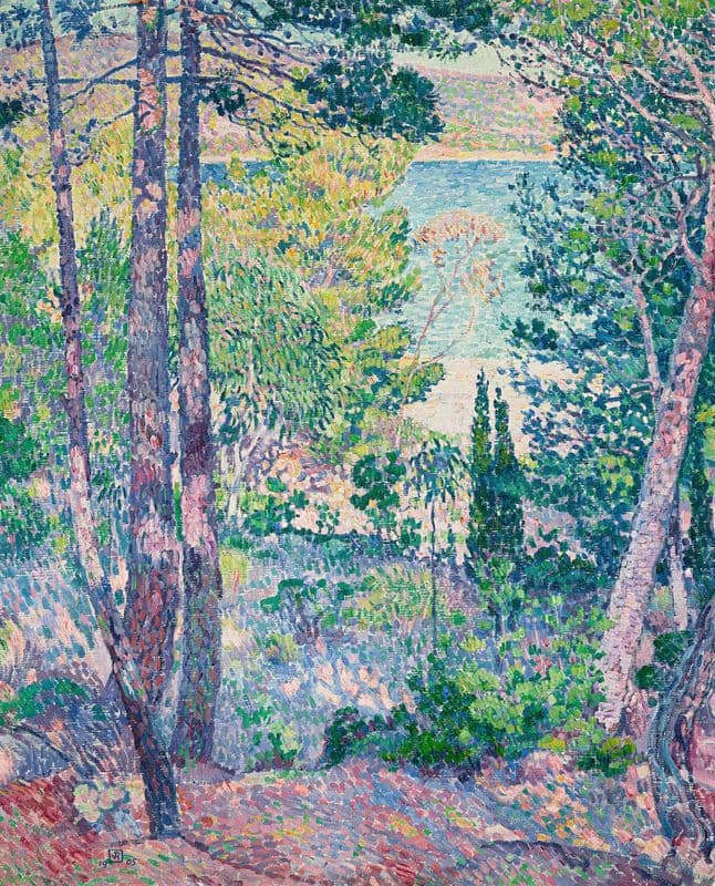 Eucalyptus à Cavalière as a canvas print