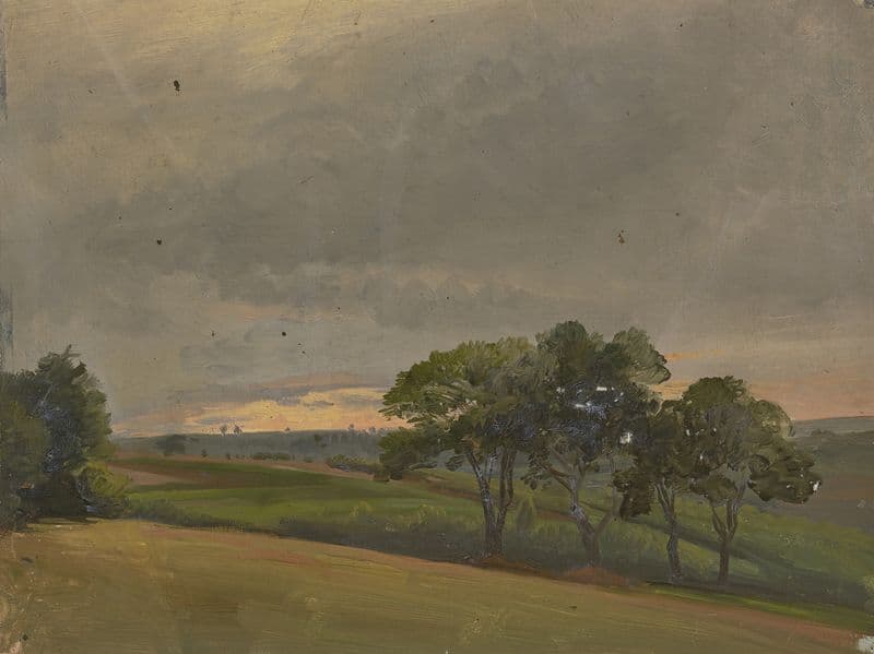 Evening meadow with trees as a canvas print