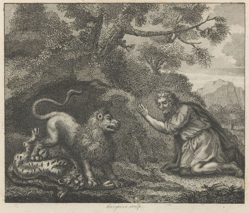 Fable I. The Lion, the Tiger, and the Traveller as a canvas print