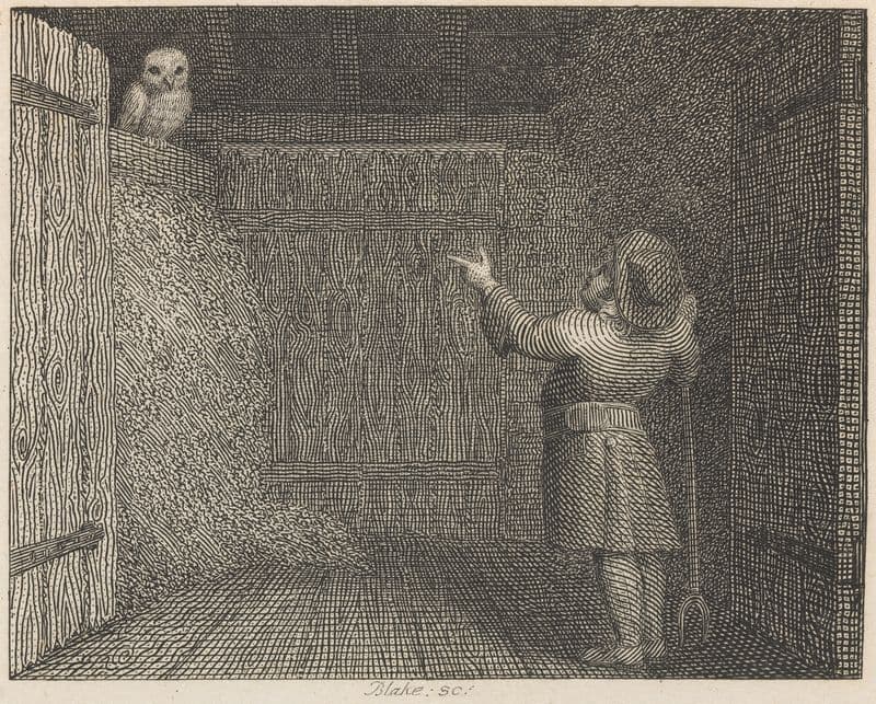 Fable XLI. The Owl and the Farmer as a canvas print