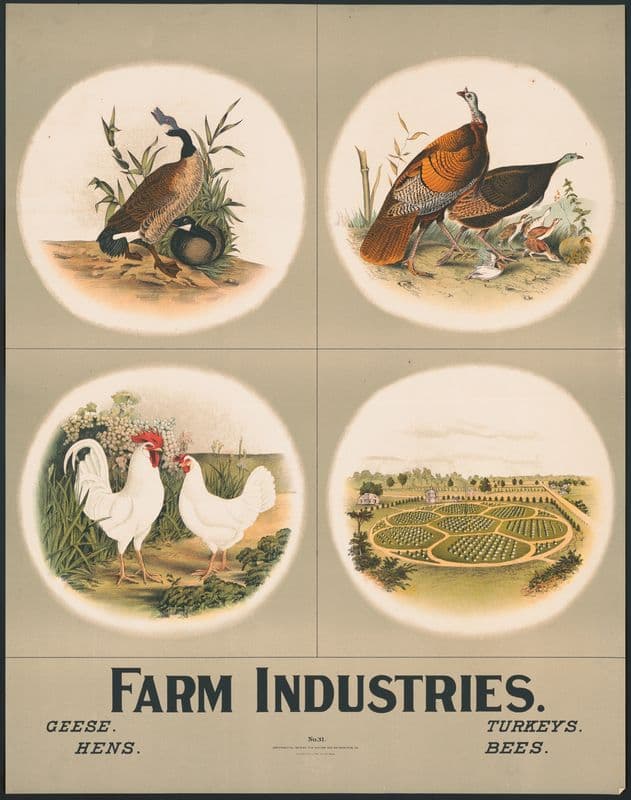 Farm industries as a canvas print