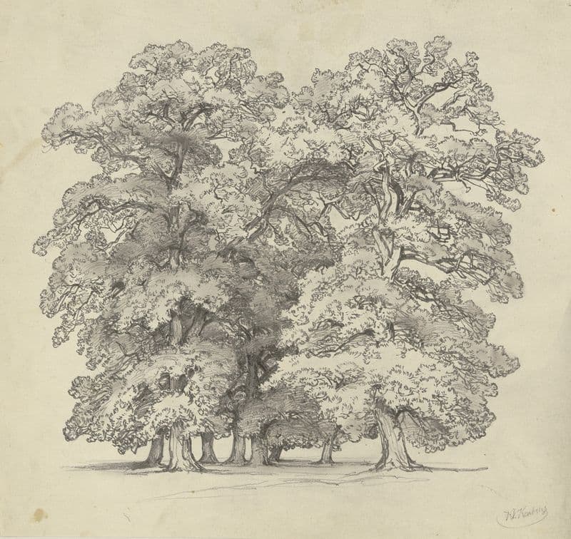 Felling of trees as a canvas print