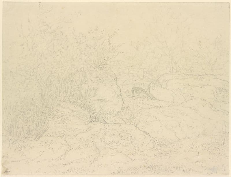 Felsen im Wald von Fontainebleau as a canvas print