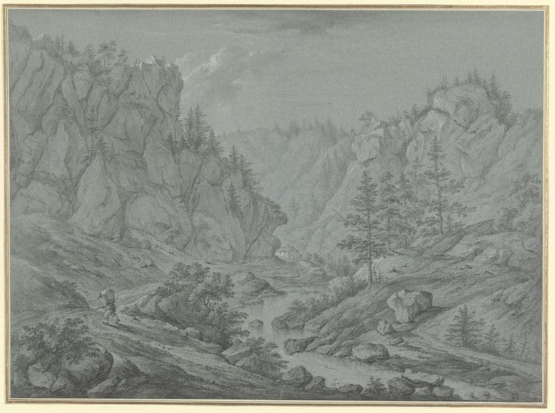 Felsiges Tal mit hohen Tannen (Martinet de Roches) as a canvas print