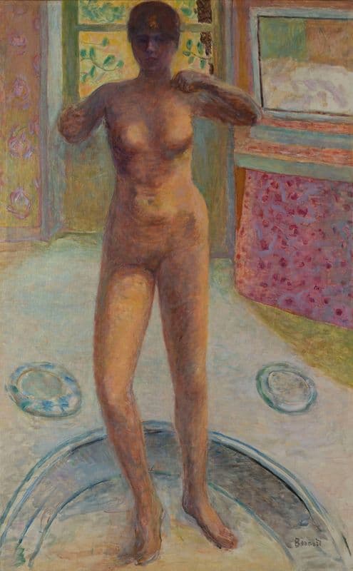 Femme au tub as a canvas print