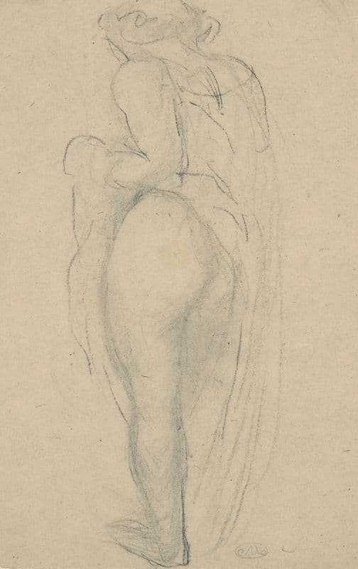 Femme demi-vêtue de dos as a canvas print