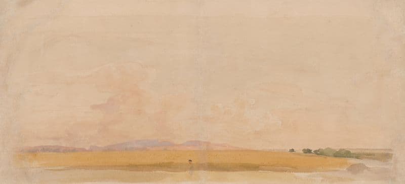 Field as a canvas print