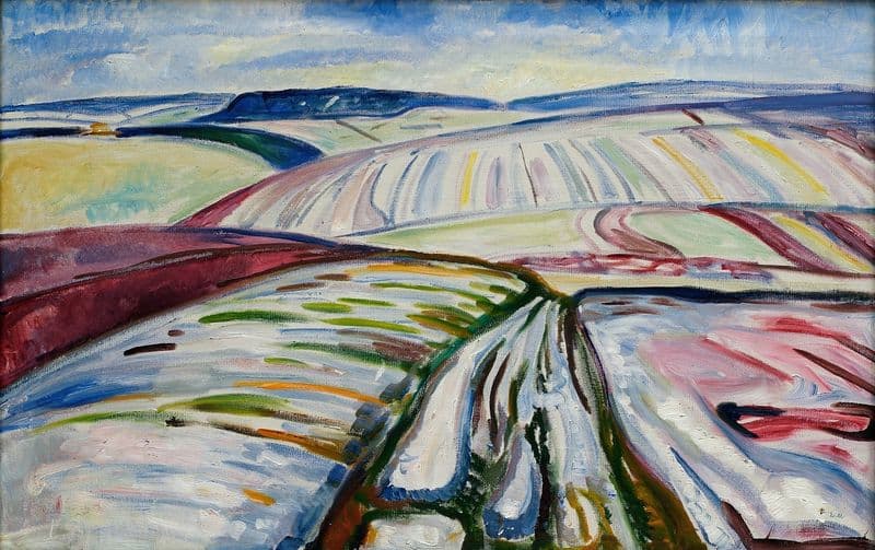 Field in Snow as a canvas print