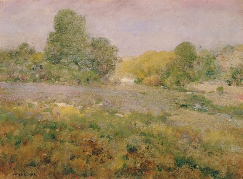 Field Of Varicolored Grasses In Late Summer (In The Virginia Hills) as a canvas print