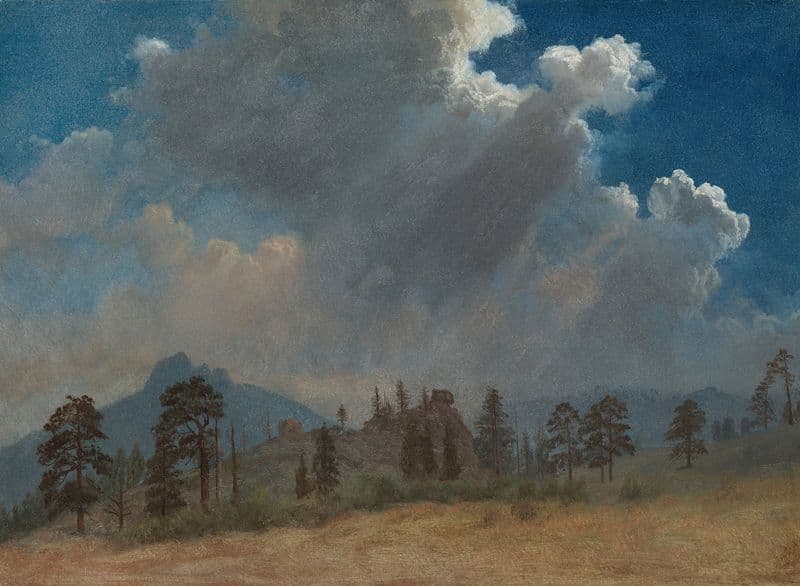 Fir Trees and Storm Clouds (c. 1870) as a canvas print