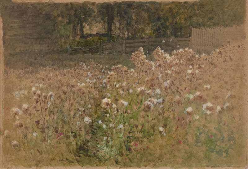 Flowers in field as a canvas print