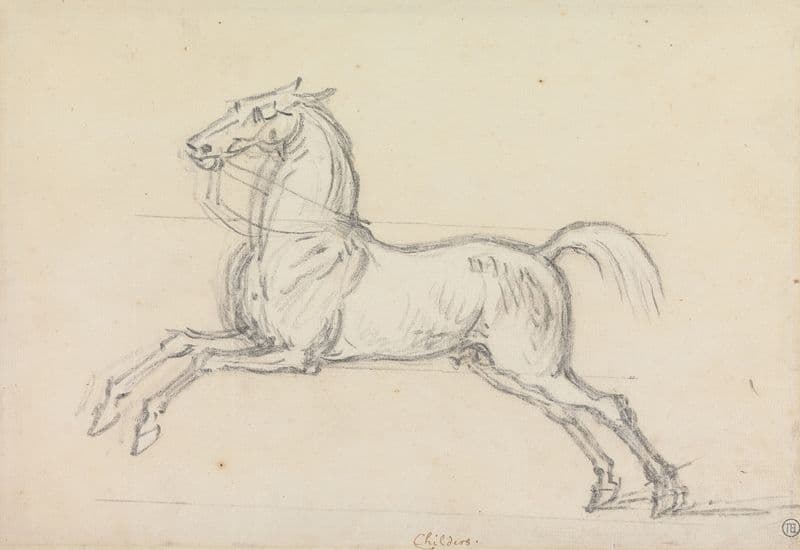 Flying Childers Galloping to Left; Bridled but not Saddled as a canvas print