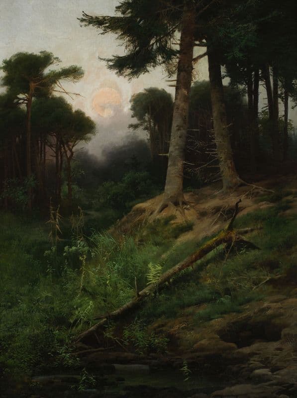 Forest landscape at sunrise as a canvas print