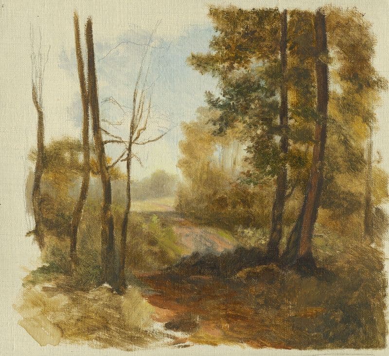 Forest Path as a canvas print